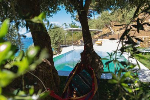 Beautiful Villa On The Seaside With Pool