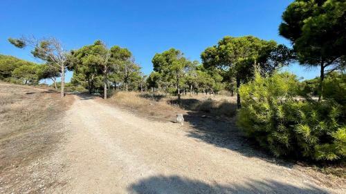 Apartamento Playa Pinomar