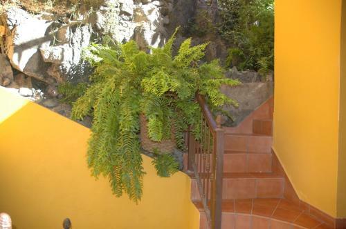 Hotel Jard�n Concha