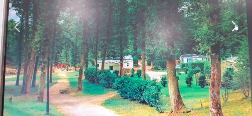 Camping Des Roches