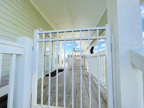 The Green Seahorse Home