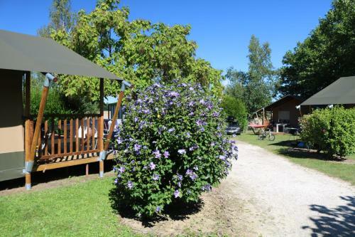 Glamping Gien