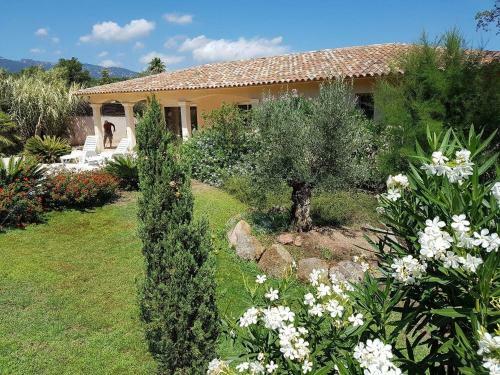 Villa C�drat