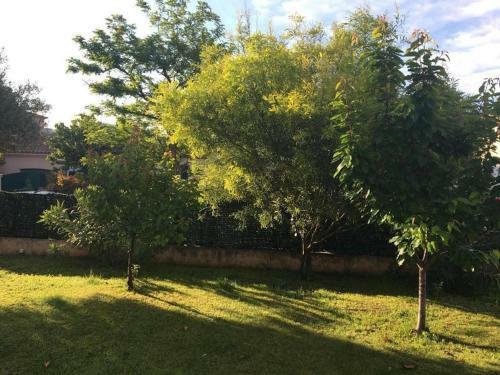 Apartamento Sous Le Magnolia