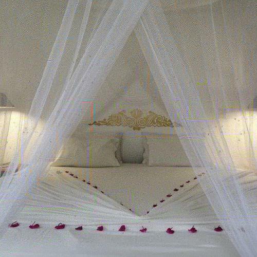 Bed & Breakfast Cocovilla Boutique Resort