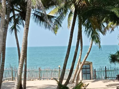 Bed & Breakfast Cocovilla Boutique Resort