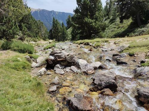 Casa Rural Con Jacuzzi Junto A Camprodon.