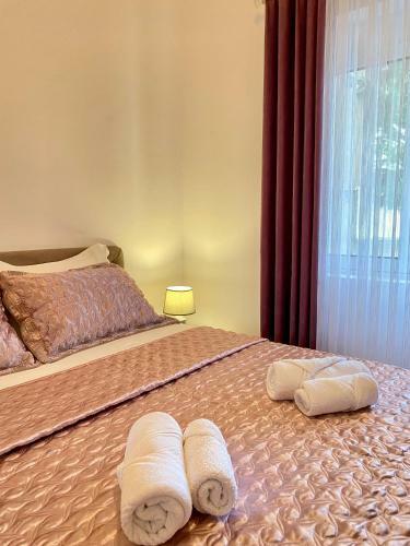 Apartment Vladana