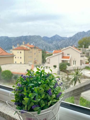 Apartment Vladana