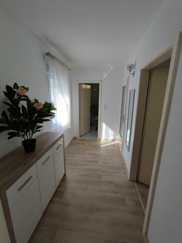 Apartment Barba View