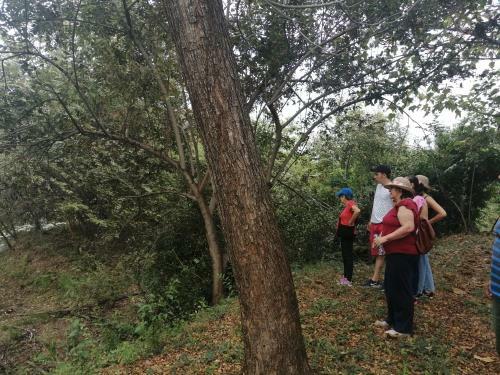 Hotel Finca Ecoturistica Los Jagueyes