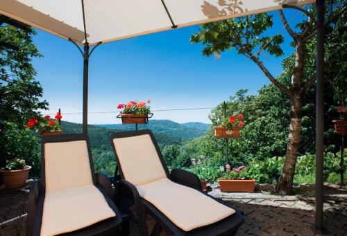 Hotel Albergo Ristorante Il Fungo