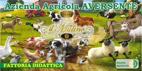 Agroturismo Relais Il Mulino