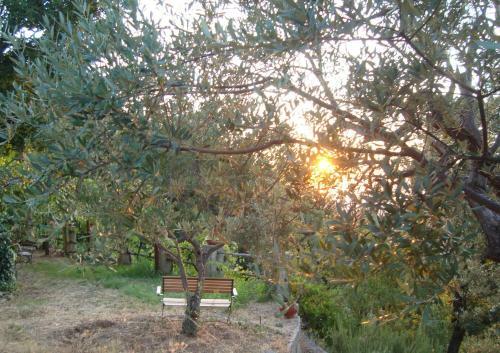 B&B Alla Palombara Di Rossano