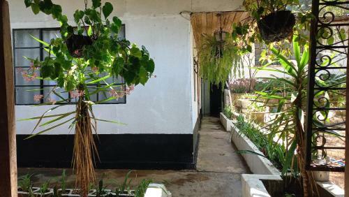 Apartamento Junto Al Bosque / Woodside Home