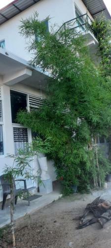 Hostal City Line Guest