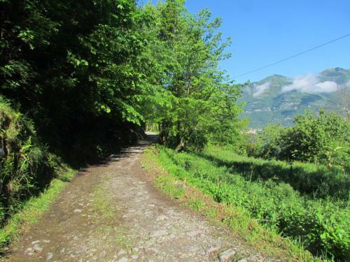 Agroturismo Agriturismo Madonna Dei Ceppi