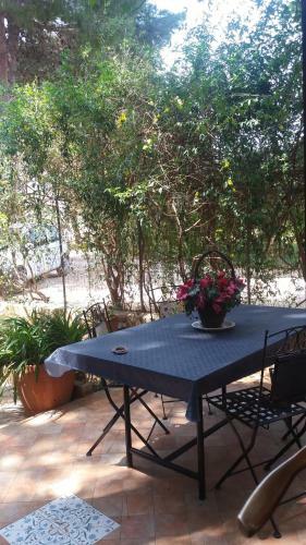 Agroturismo Tenuta Venezia