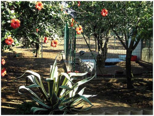 Agroturismo Tenuta Venezia