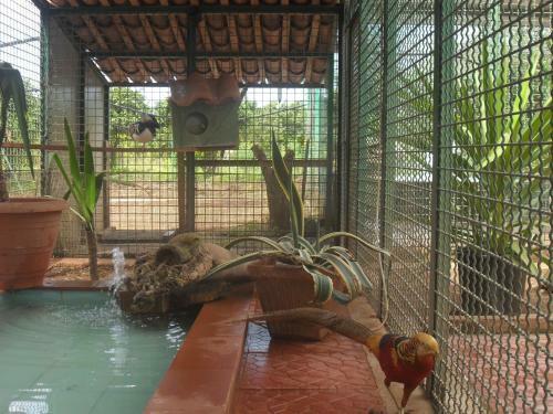 Agroturismo Tenuta Venezia