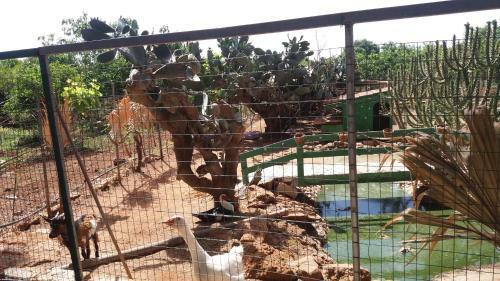 Agroturismo Tenuta Venezia