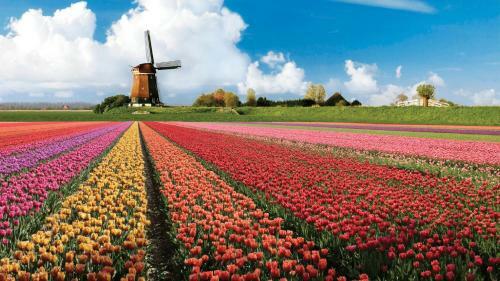 Dorpsboerderij Hillegom