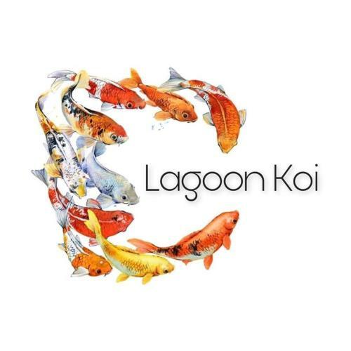 Apartamento Quinta Lagoon Koi Cr