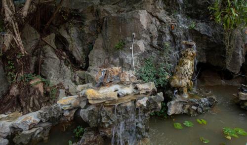 Trang An Viewpoint Homestay