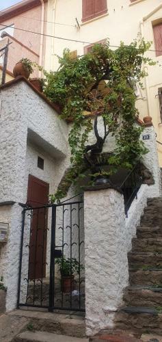 Apartamento Fantastic Sea View