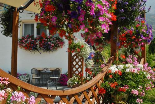 Aparthotel La Roche Hotel Appartments