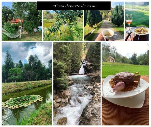 Hostal Pensiunea Florina