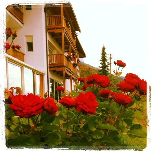 Hotel Steinegger