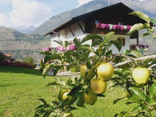 Hotel Gletscherblick