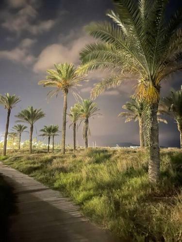 Apartamento Appartement ??los Pinos?? 50m De La Plage