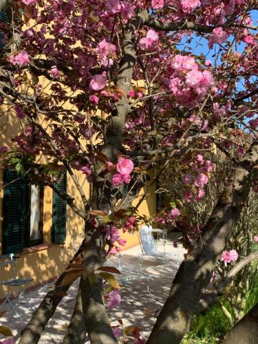 Villa Tenuta Contessa Chiara