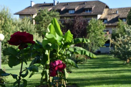 Angerburg Blumenhotel