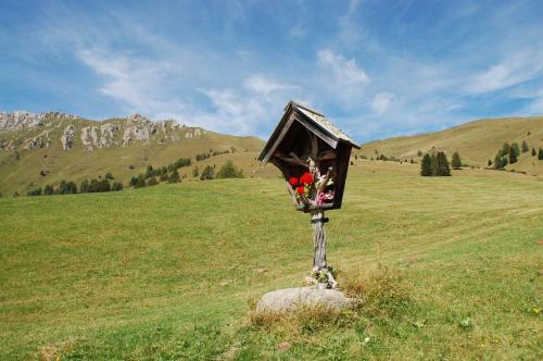 Cimon Dolomites Hotel