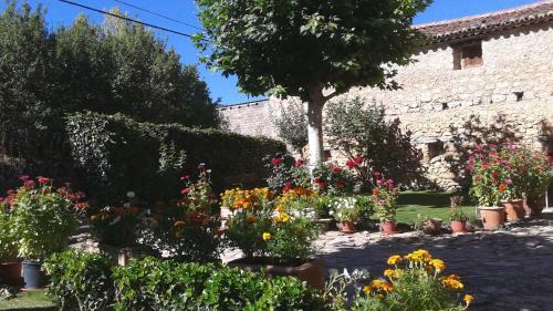 Apartamento El Rincon Del Tajo