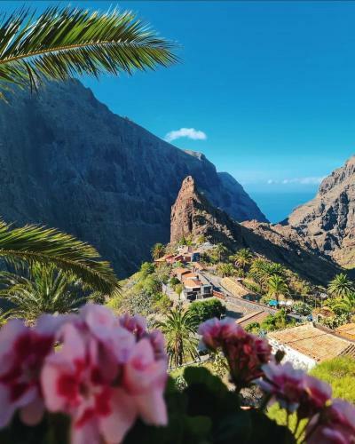 Apartamento Buganvilla - Los Gigantes