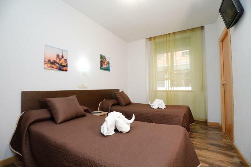 Hostal Conde David