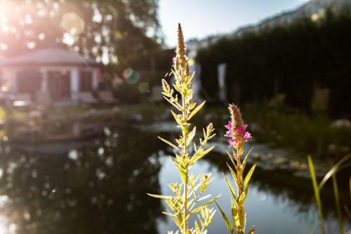 Bed & Breakfast Alpenpension Claudia