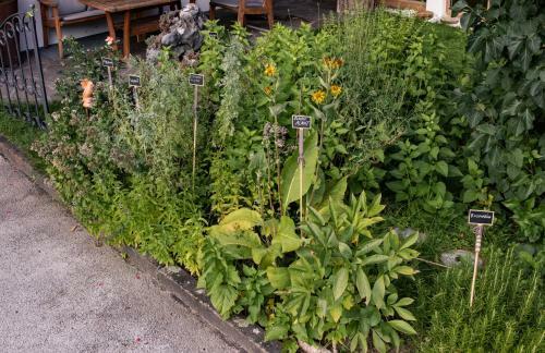 Bed & Breakfast Alpenpension Claudia