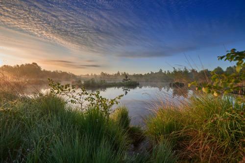 Villa Natuurlogies Buurse Buiten