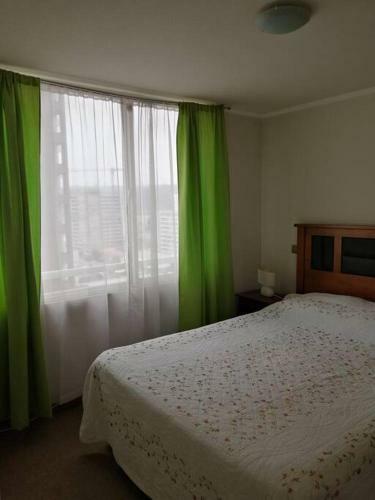 Apartamento Departamento Vacaciones Centro De Vi�a Del Mar