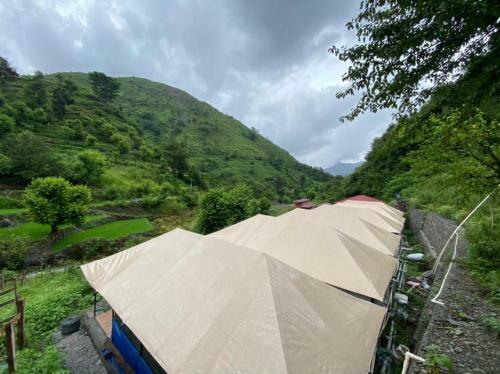 Tiger Fall Aquatic Camps And Restaurant