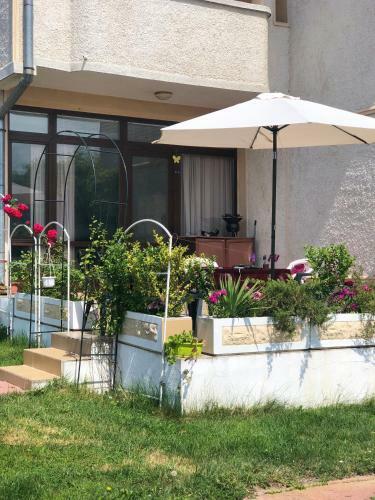 Villa Sun Palace