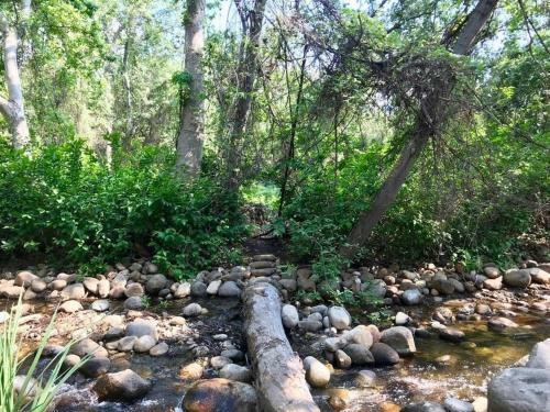 Reyium - A Conscious Riverfront Private Resort