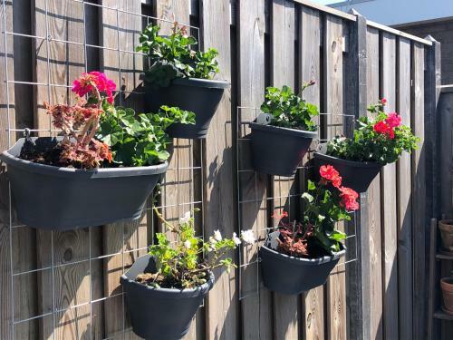 Apartamento Zoutelande Koddelaan Vakantiewoning