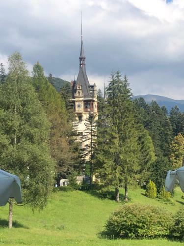 Sinaia Mountain Apartments