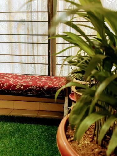 Apartamento Artistic 2bhk In The Downtown Close To Everything